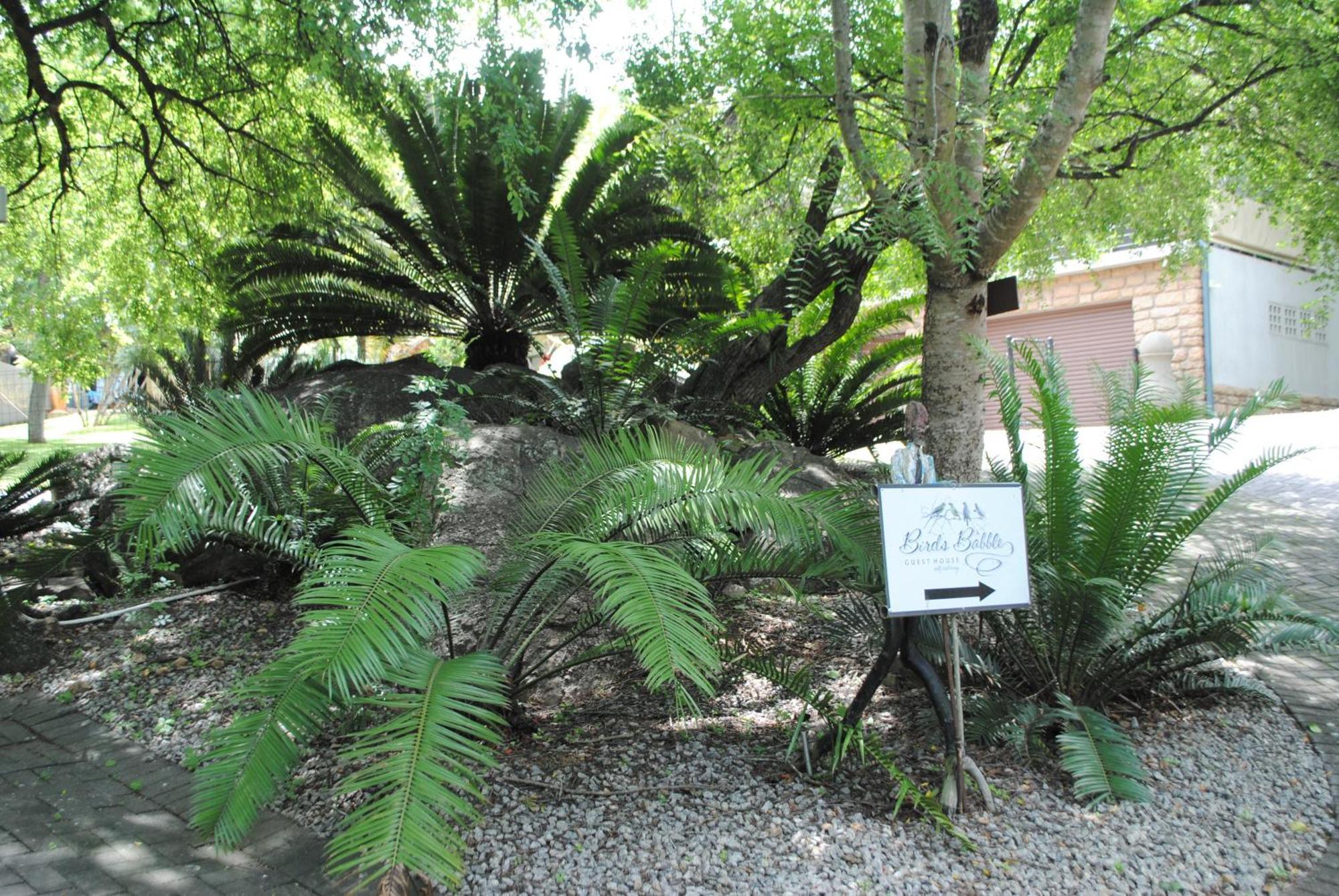 Hotel Birds Babble Self Catering Mbombela Exterior foto